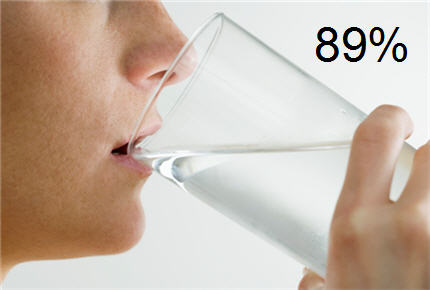 description brève de l'image