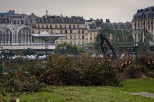 Abattage des arbres du jardin des Halles, un chantier sous haute surveillance !, Photographies du projet des Halles | Projet les Halles | Scoop.it