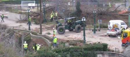 Paris : les tilleuls des Halles tombent sous les tronçonneuses - 16/02/2011 - leParisien.fr | Projet les Halles | Scoop.it
