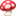 🍄