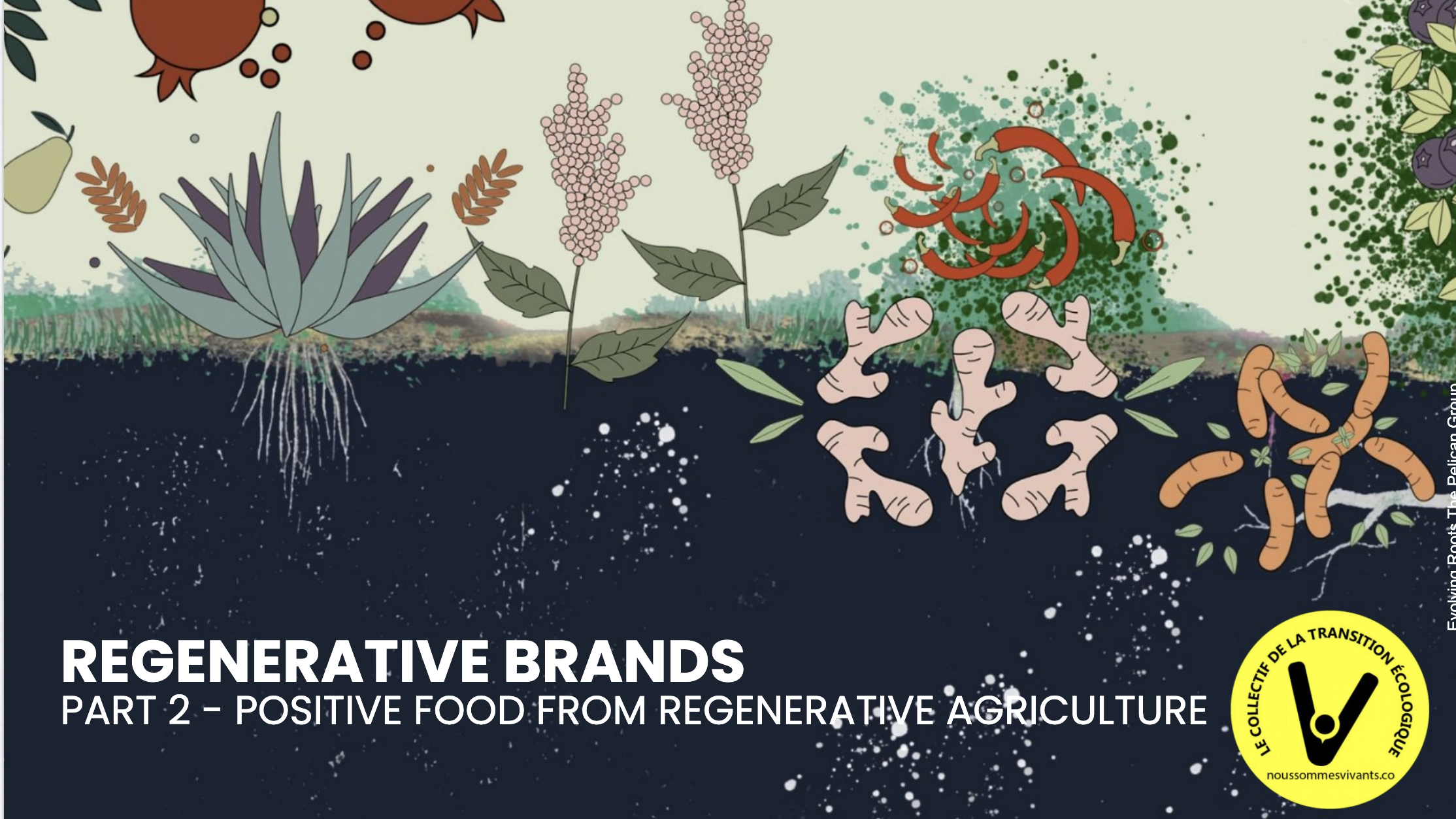 150 Brands Supporting Regenerative Agriculture : Food, Beverages, Apparel, Footwear, Cosmetics, Luxury, Architecture, Hospitality, Travel, Mobility….