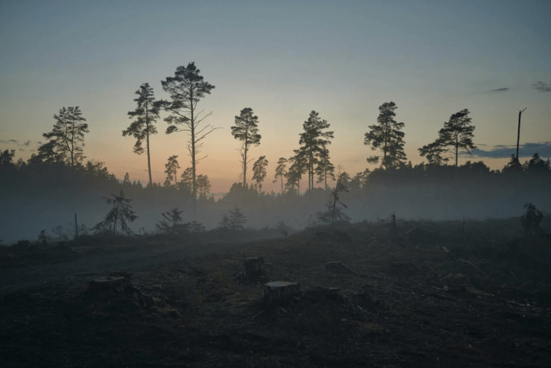 Parce que la régénération du vivant doit devenir la priorité des activités humaines, la prédation doit appartenir au monde d&rsquo;avant&nbsp;!