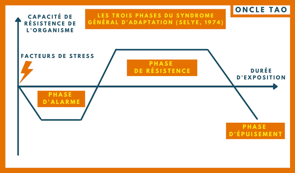 Les trois phases du syndrome général d’adaptation #facteurhumain