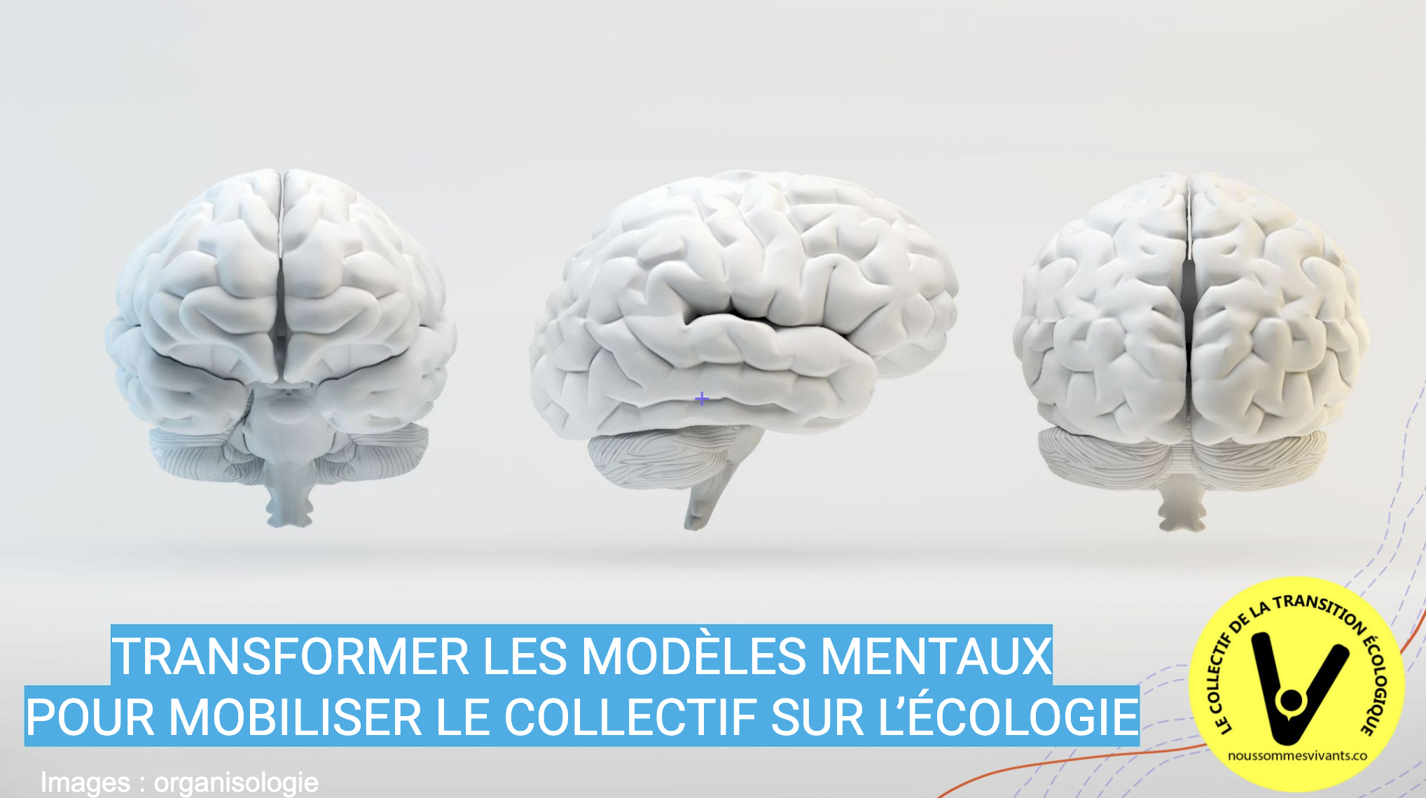 TRANSFORMER LES MODÈLES MENTAUX POUR RÉUSSIR LA TRANSITION ÉCOLOGIQUE