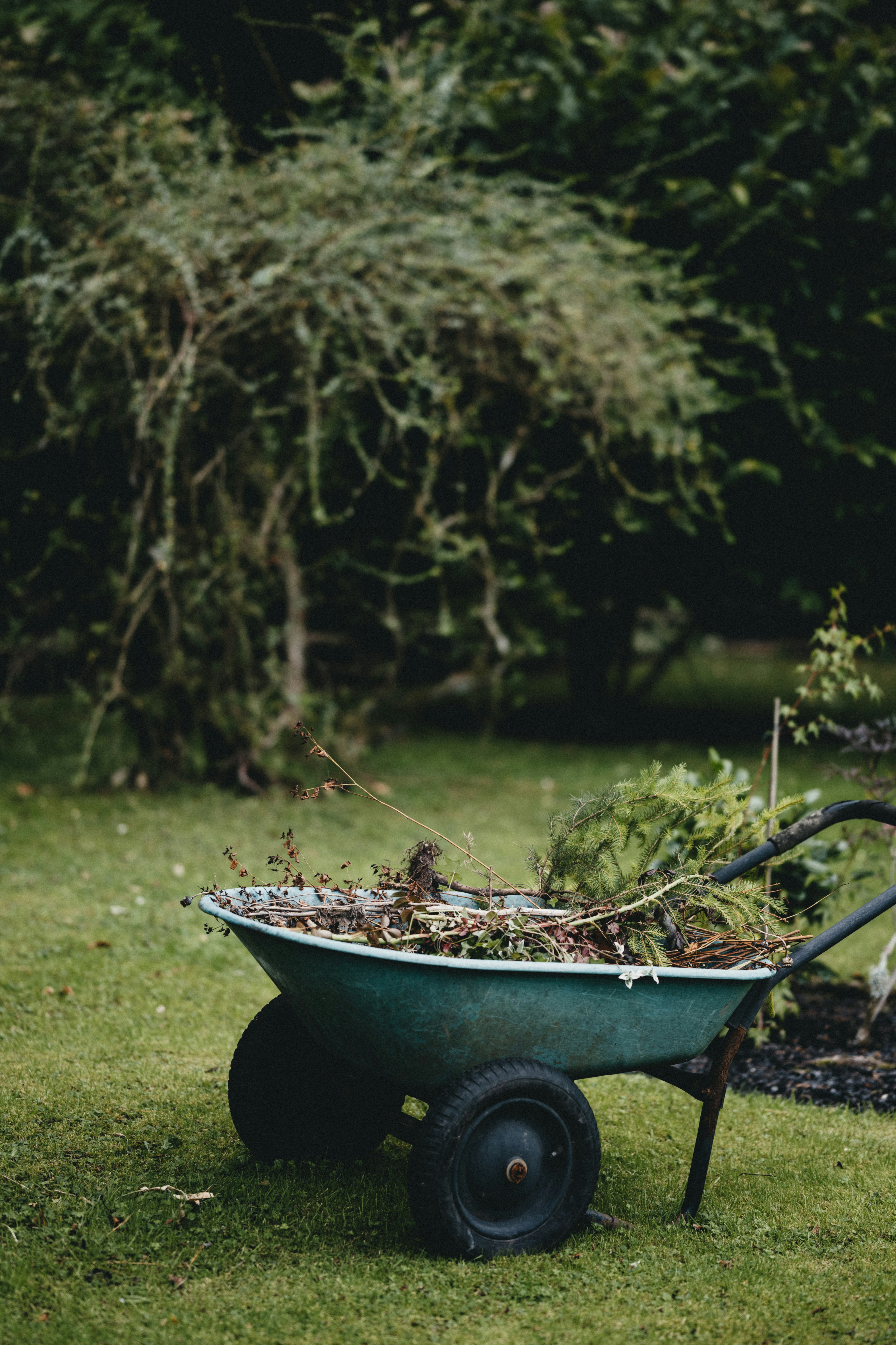 UNE ÉCOLOGIE SANS INNOVATION C’EST DU JARDINAGE.