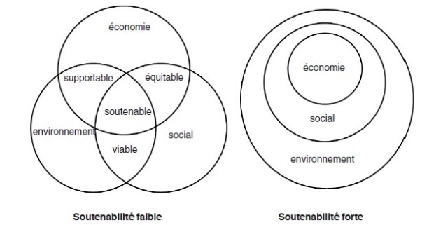 PASSER EN SOUTENABILITÉ FORTE  EN POSANT SA STRATÉGIE CSRD&nbsp;RÉGÉNÉRATIVE