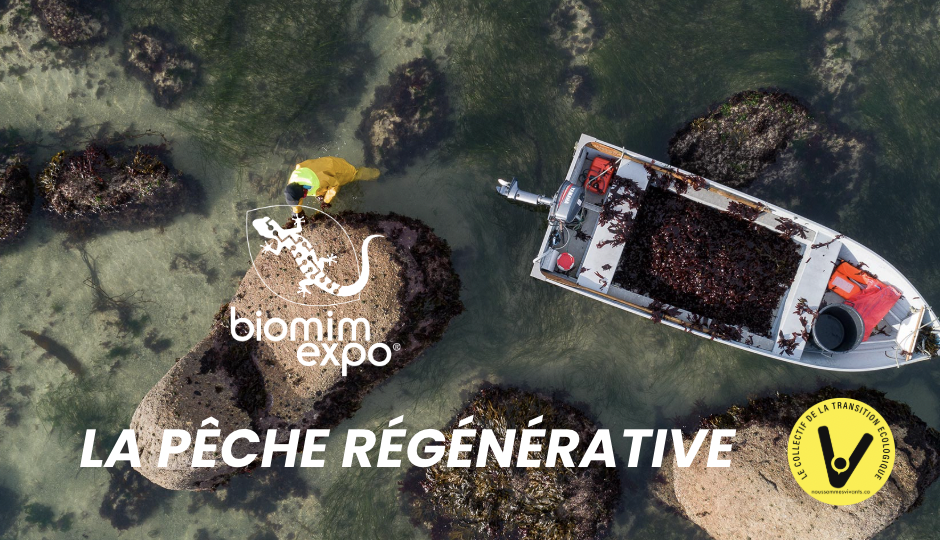 LA PÊCHE RÉGÉNÉRATIVE : VERS UNE AQUACULTURE INTÉGRÉE AUX ÉCOSYSTÈMES