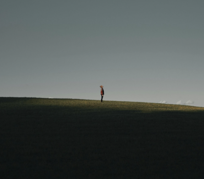 LE DEVOIR DE VIGILANCESUR LA CROISSANCE