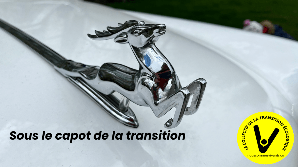 Nous Sommes Vivants : l’innovation va de pair avec la transformation pour réussir la Transition Écologique via la Régénération