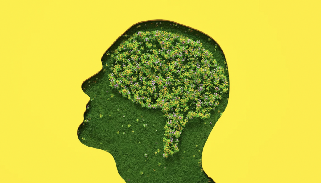 Réussir la transition écologique : le vrai verrou est humain