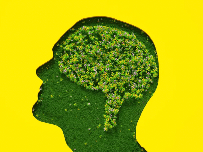 Réussir la transition écologique : le vrai verrou est&nbsp;humain