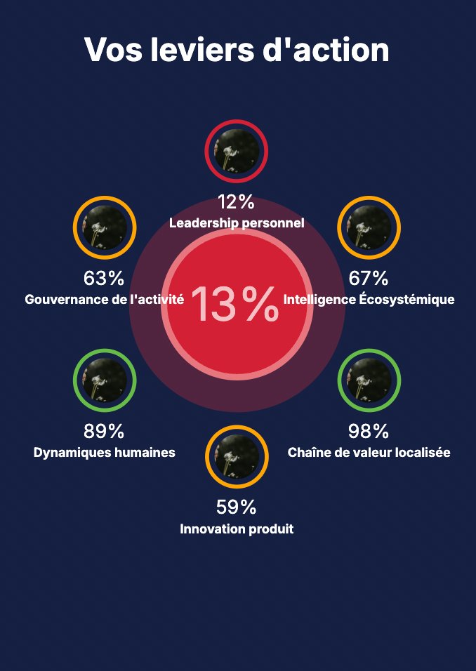 PDF — Leviers d'action