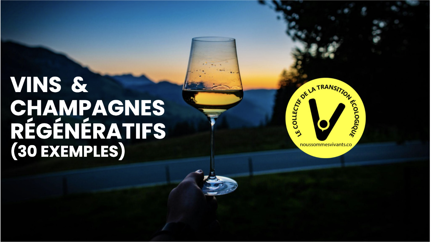 Vins & Champagnes : les domaines qui renforcent la vitalité du vivant